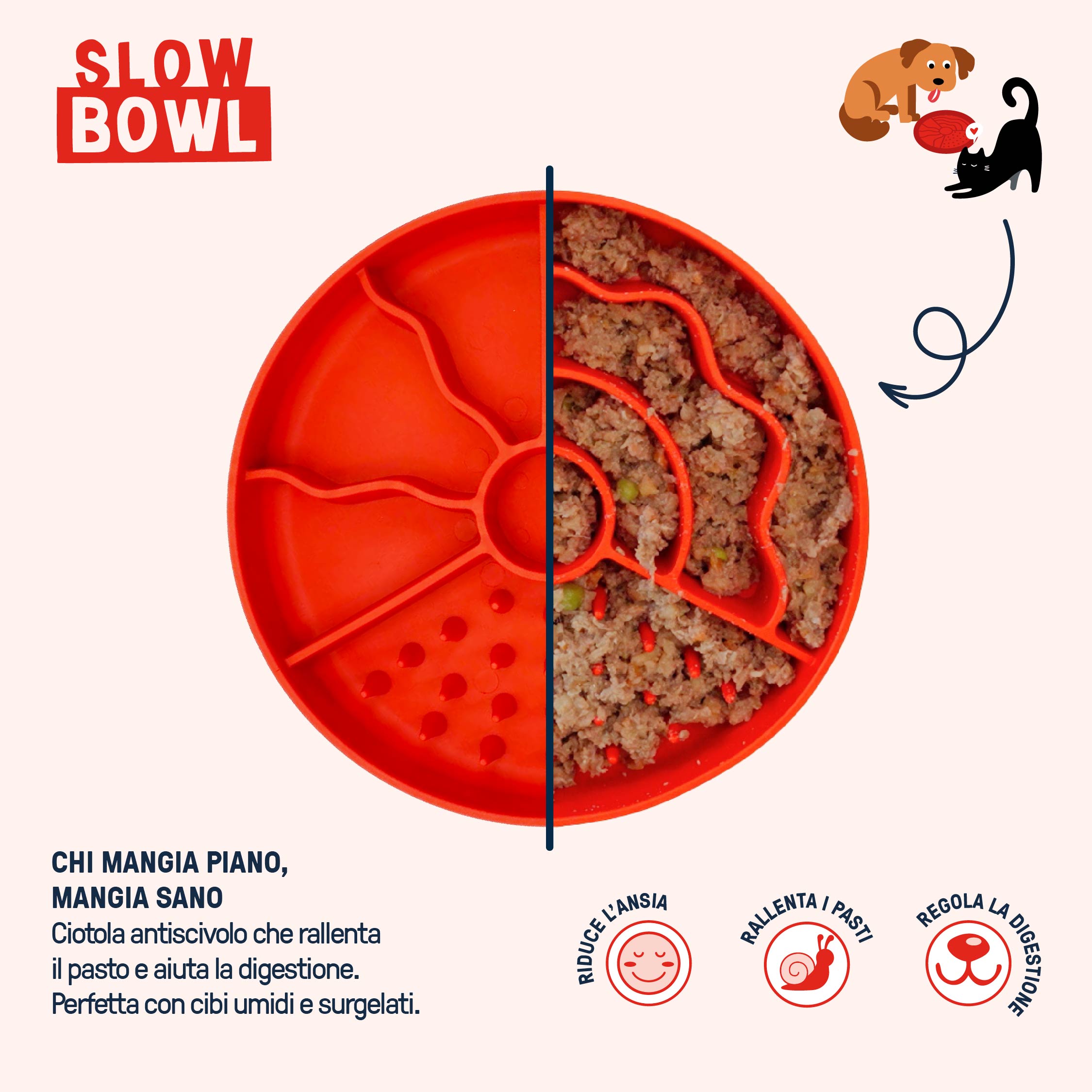 Slow Bowl | Ciotola anti ingozzamento con bordi alti