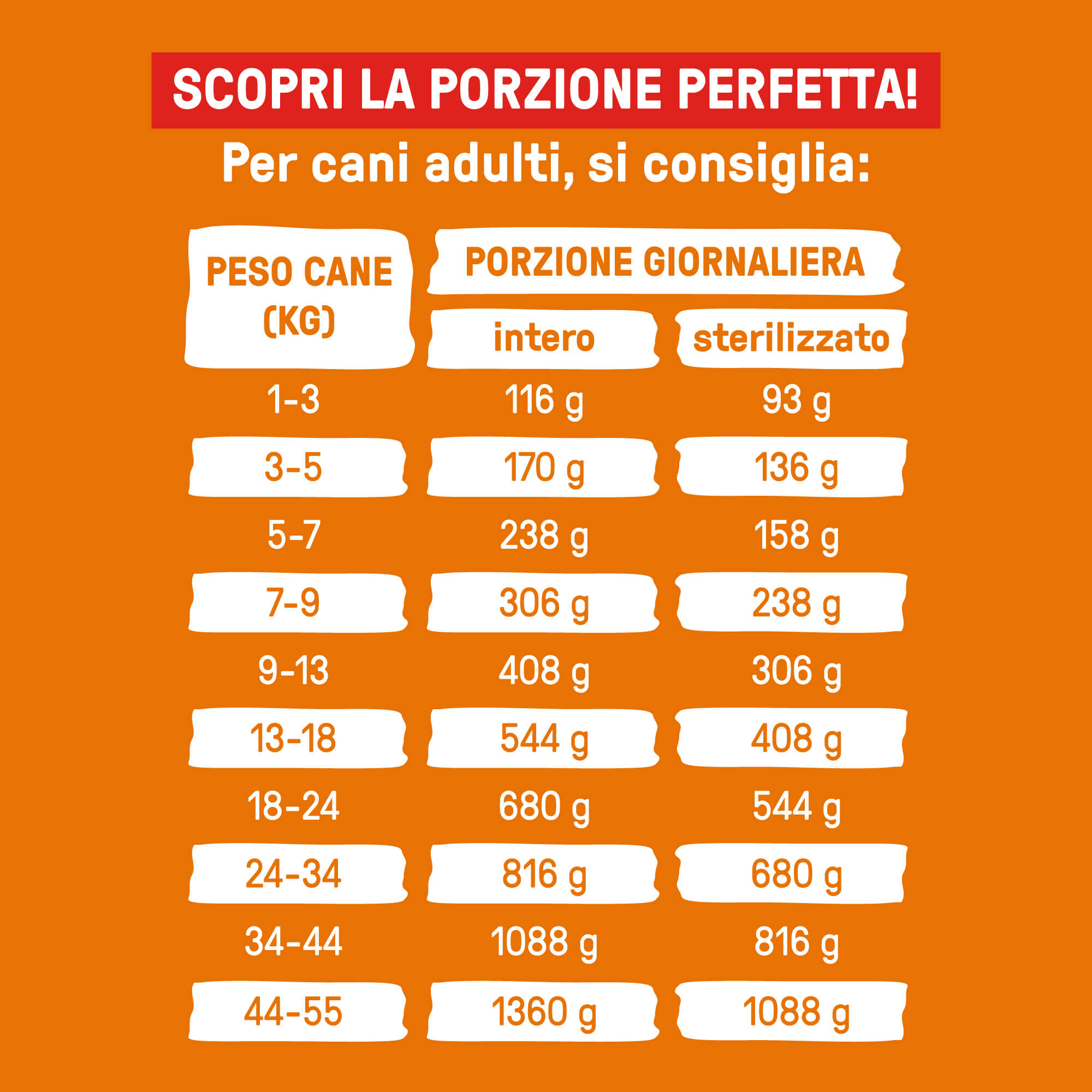 TURKEY BOWL | 12 PACK - CIBO FRESCO SURGELATO - 55% DI CARNE E VERDURE