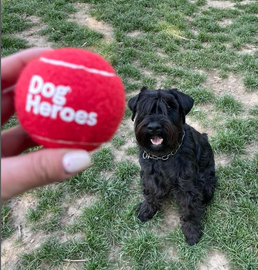 Dog Fun - 3X Palline | risparmia il 10%