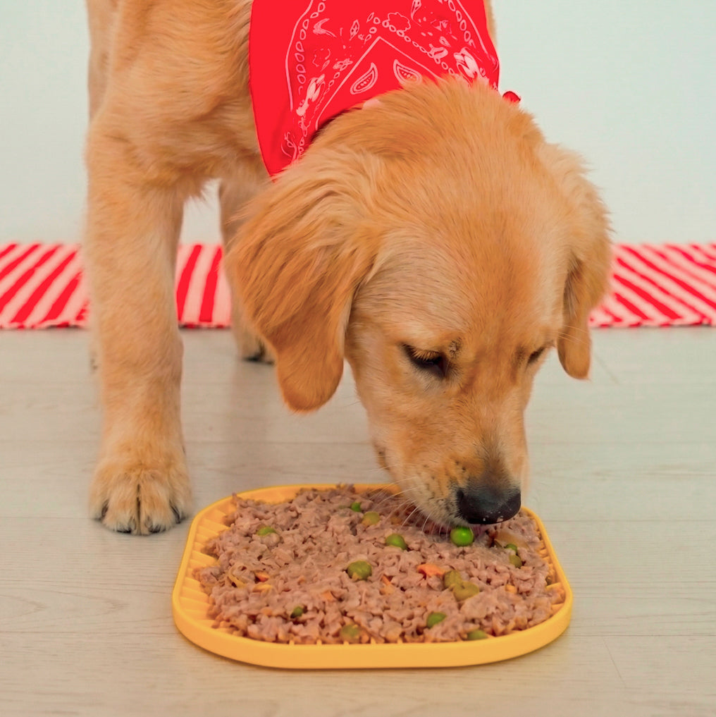 Lick Mat | Tappetino da leccare per cani e gatti