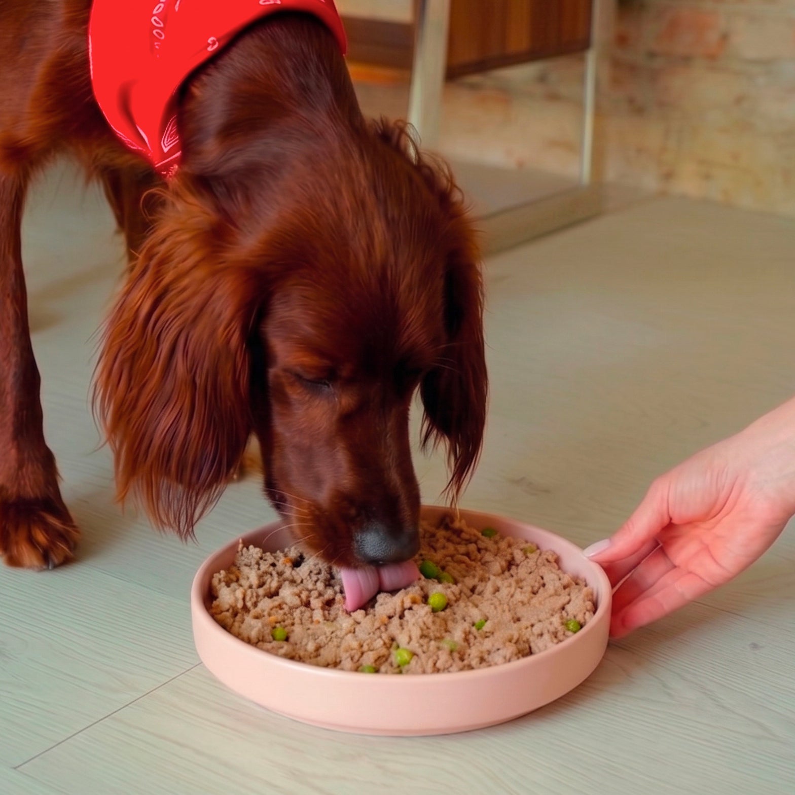 Lick Bowl | Ciotola alta con lick mat