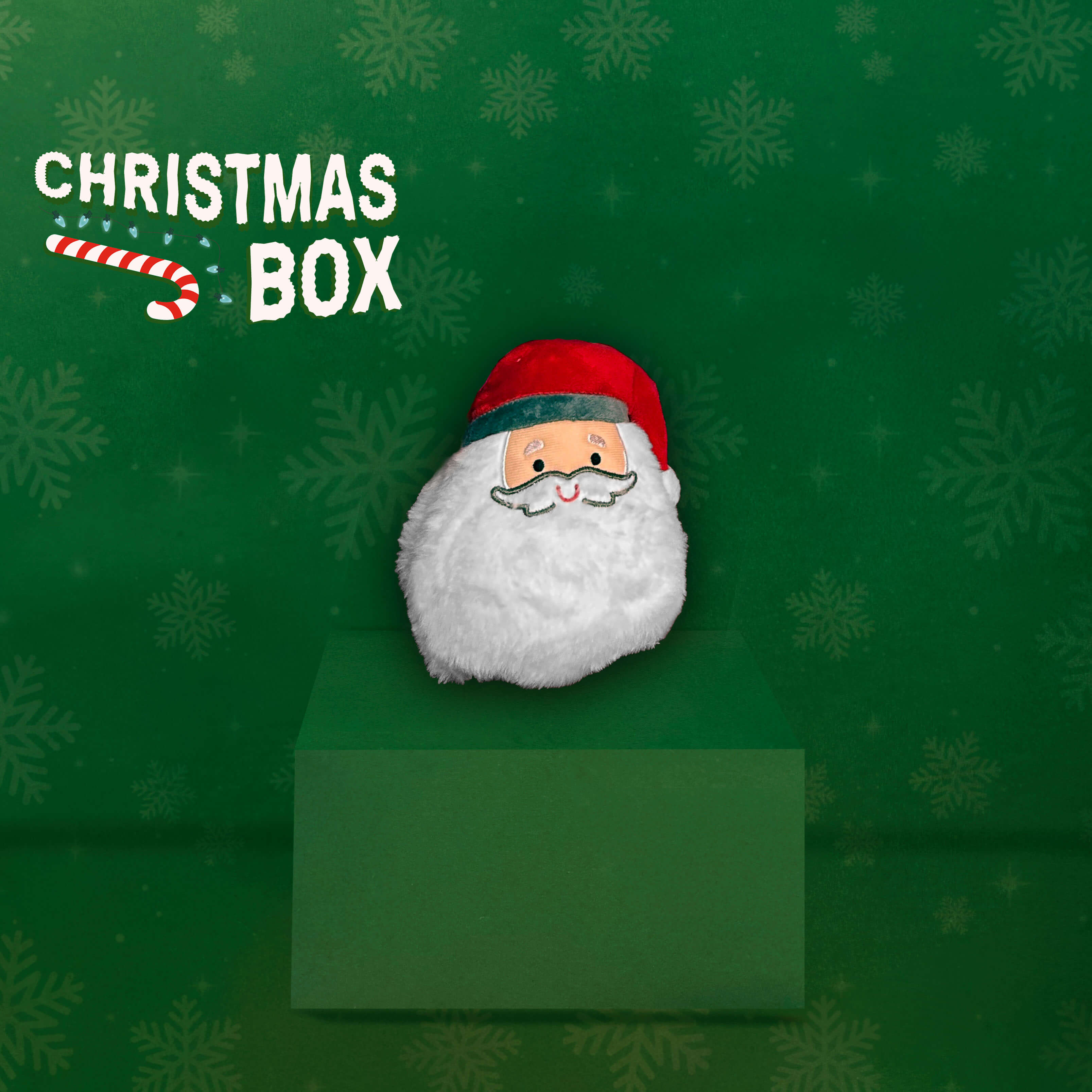 CHRISTMAS BOX | RENDI MAGICHE LE FESTE DEL TUO CANE