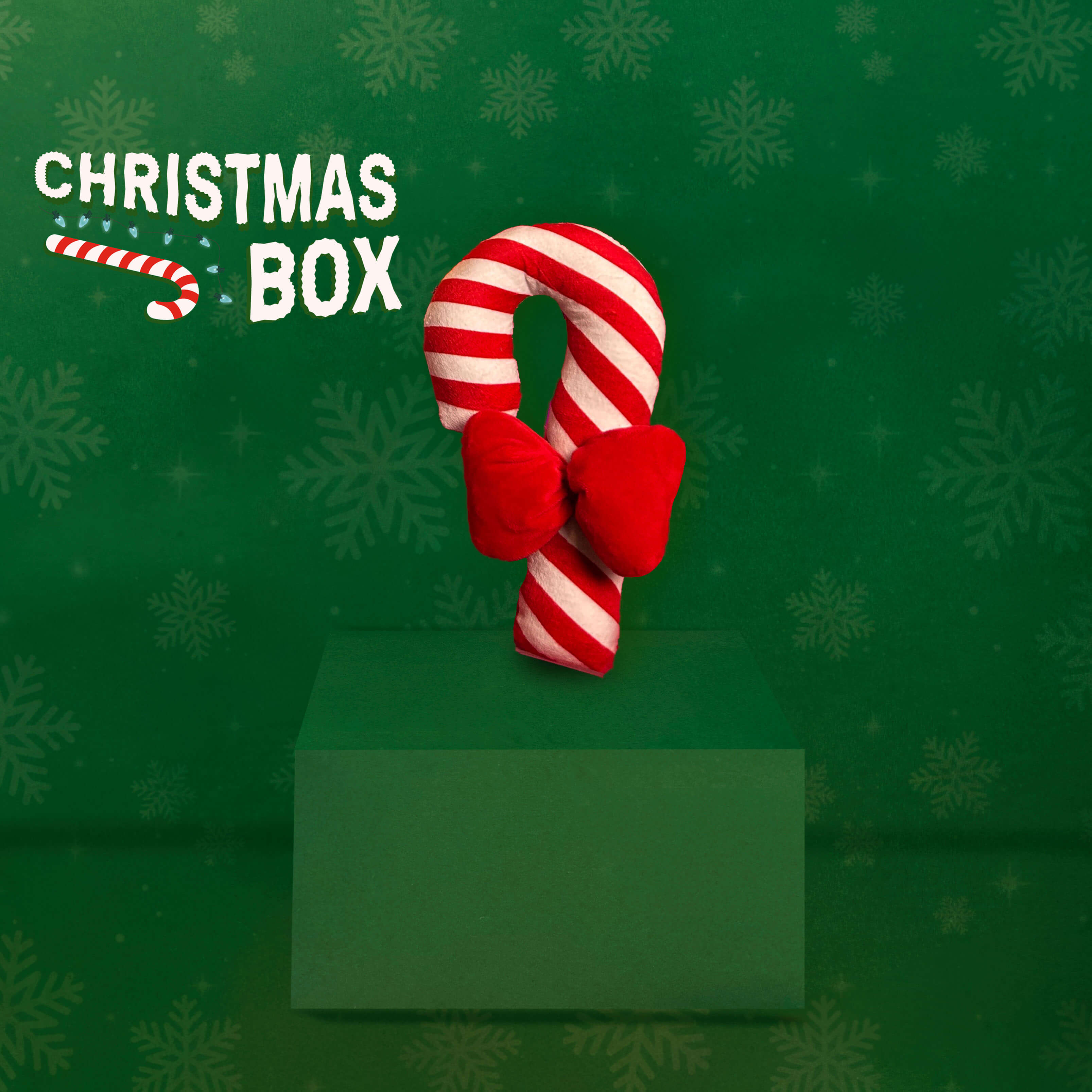 CHRISTMAS BOX | RENDI MAGICHE LE FESTE DEL TUO CANE