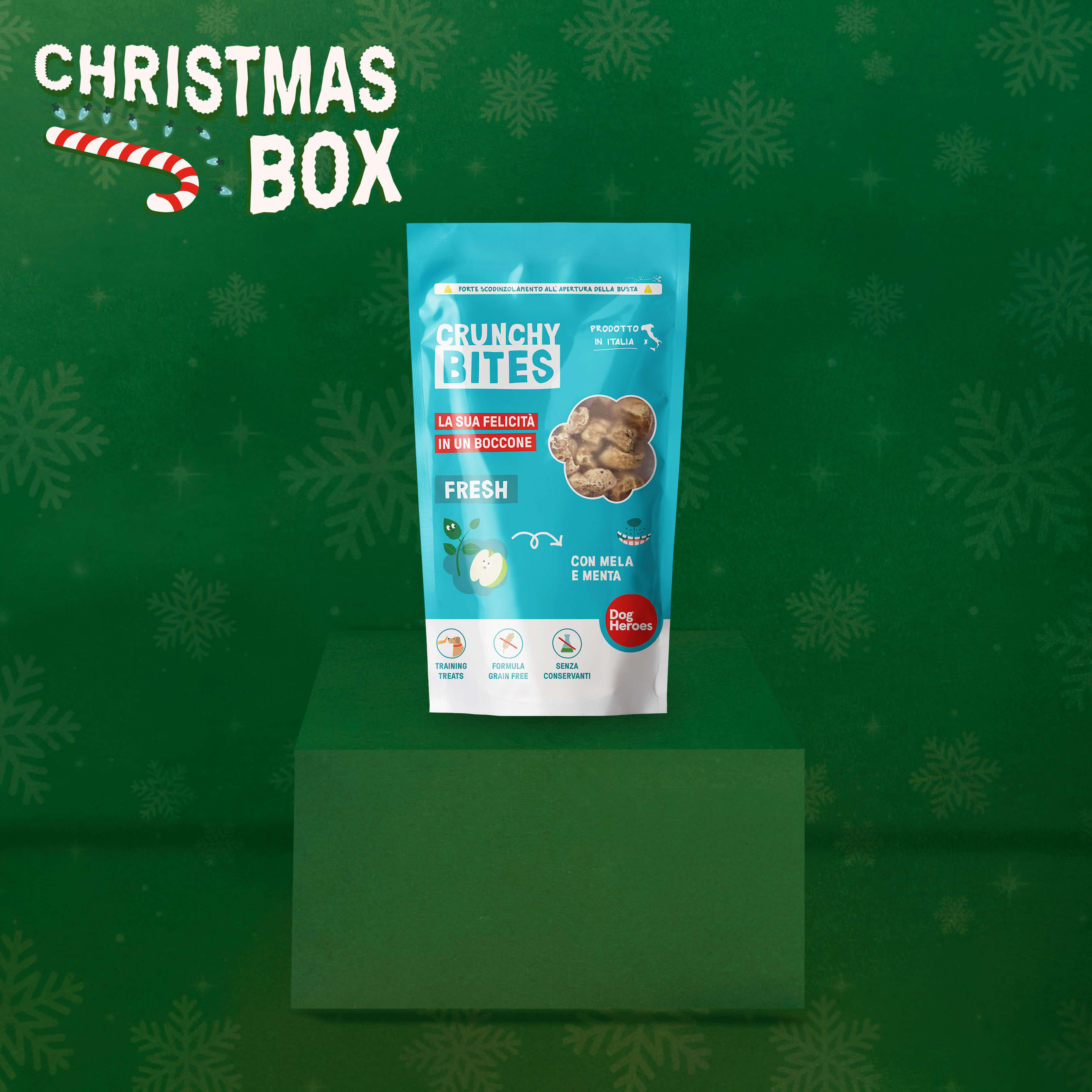 CHRISTMAS BOX | RENDI MAGICHE LE FESTE DEL TUO CANE