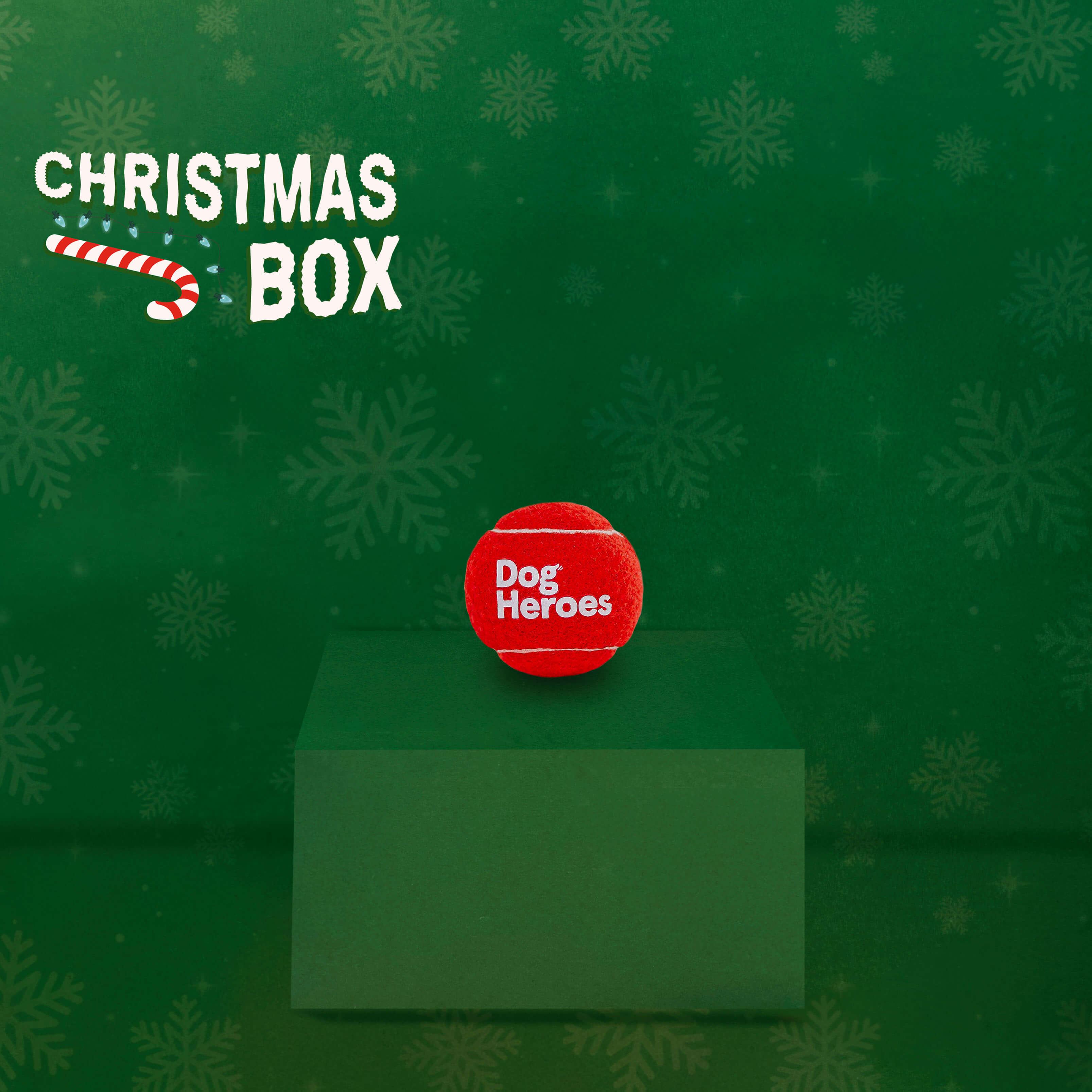 CHRISTMAS BOX | RENDI MAGICHE LE FESTE DEL TUO CANE