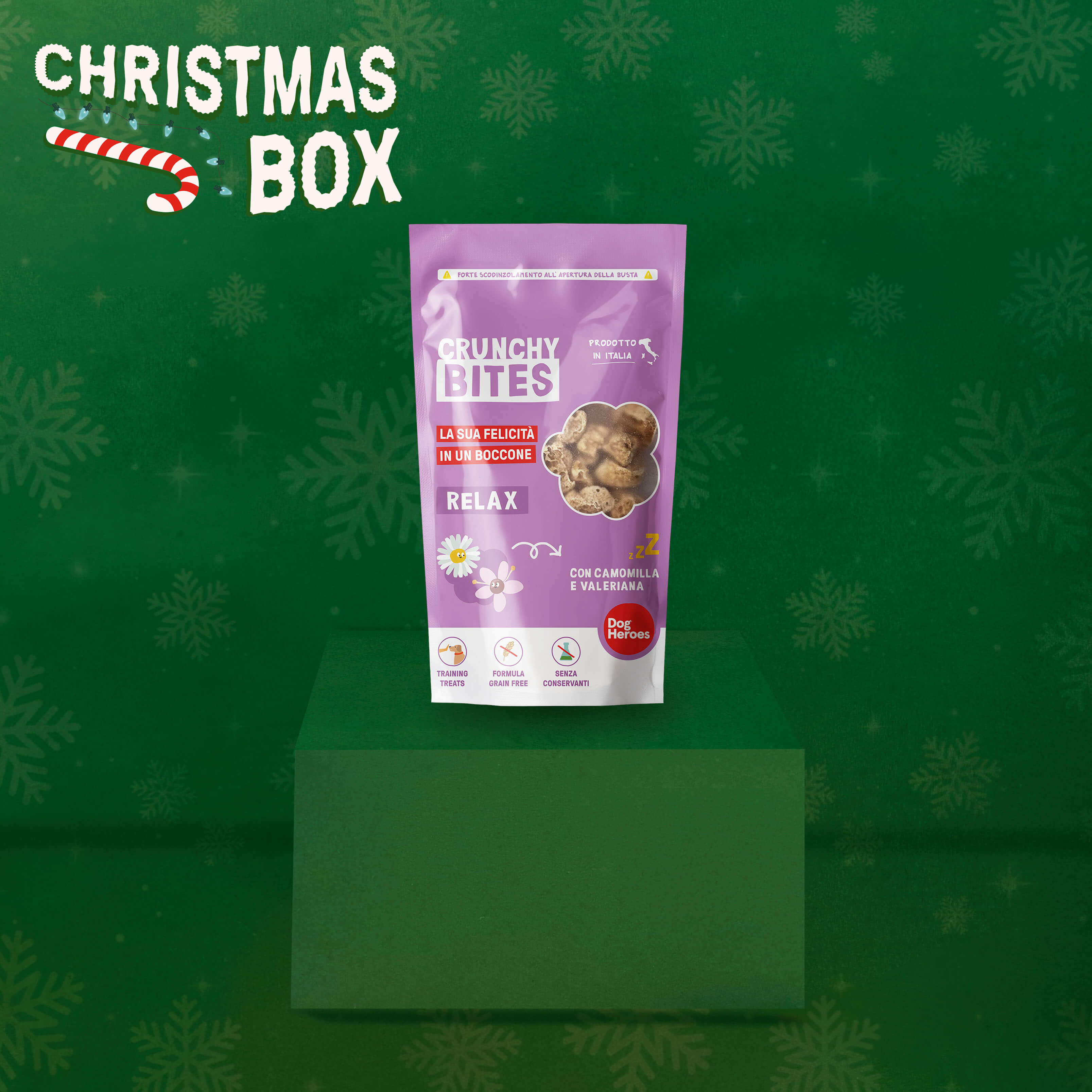 CHRISTMAS BOX | RENDI MAGICHE LE FESTE DEL TUO CANE