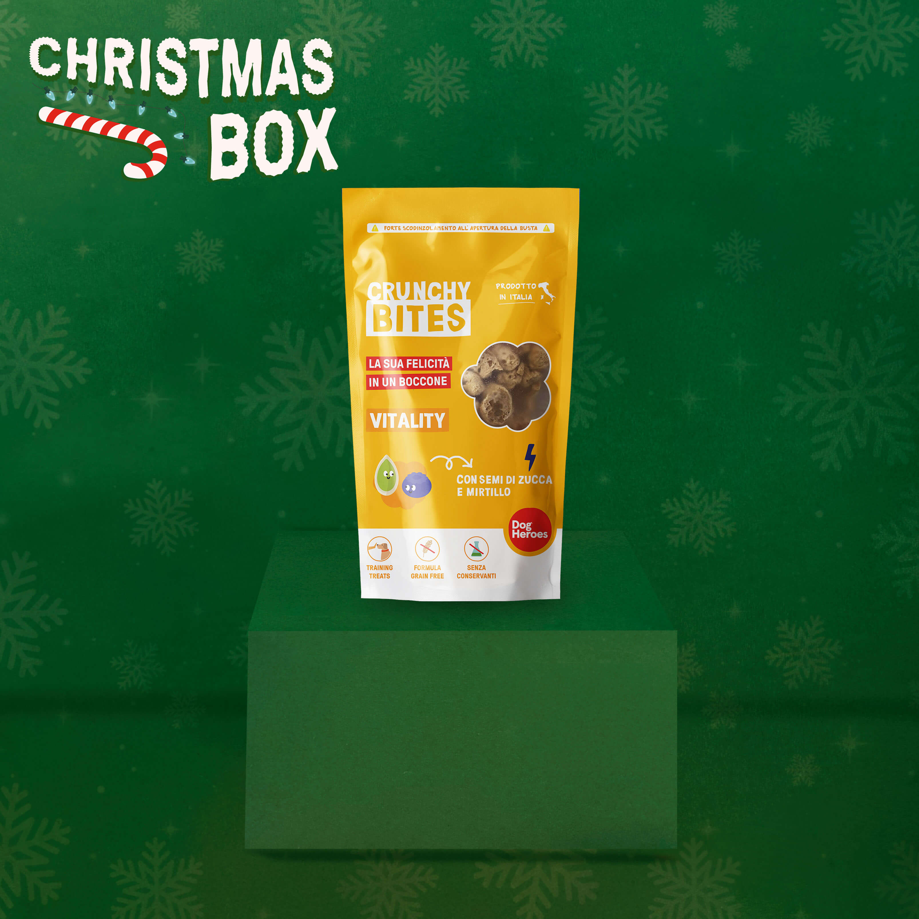 CHRISTMAS BOX | RENDI MAGICHE LE FESTE DEL TUO CANE