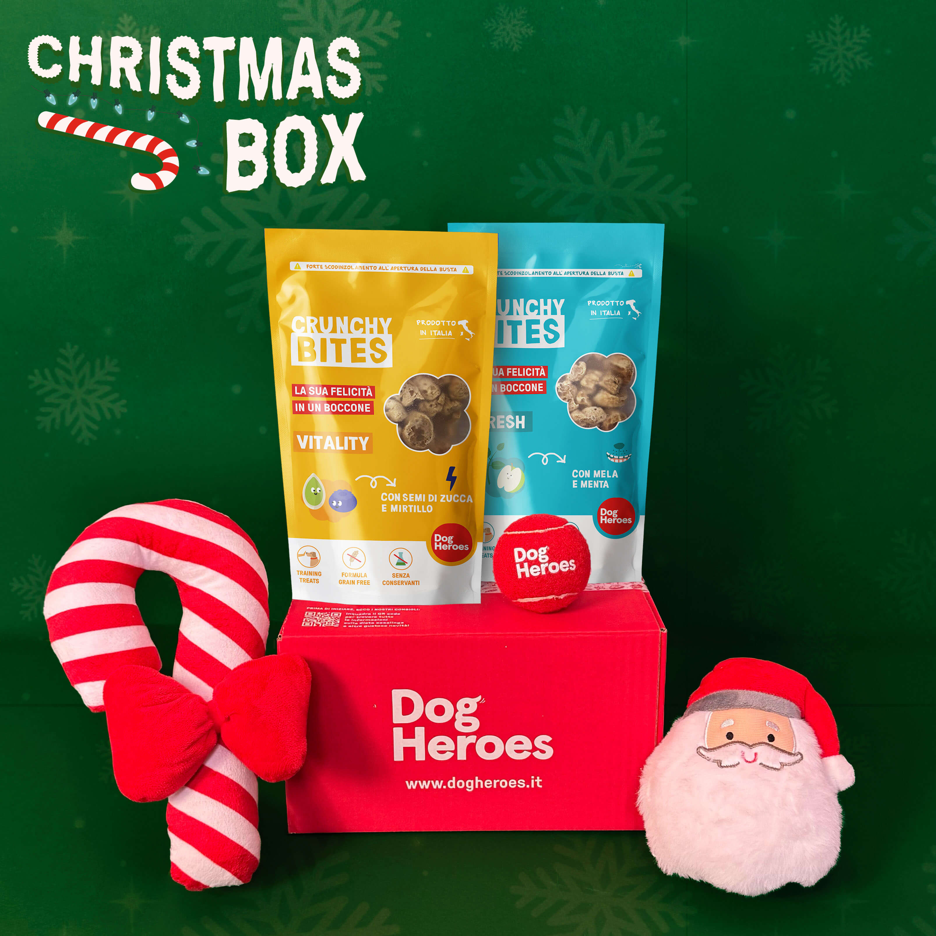 CHRISTMAS BOX | RENDI MAGICHE LE FESTE DEL TUO CANE