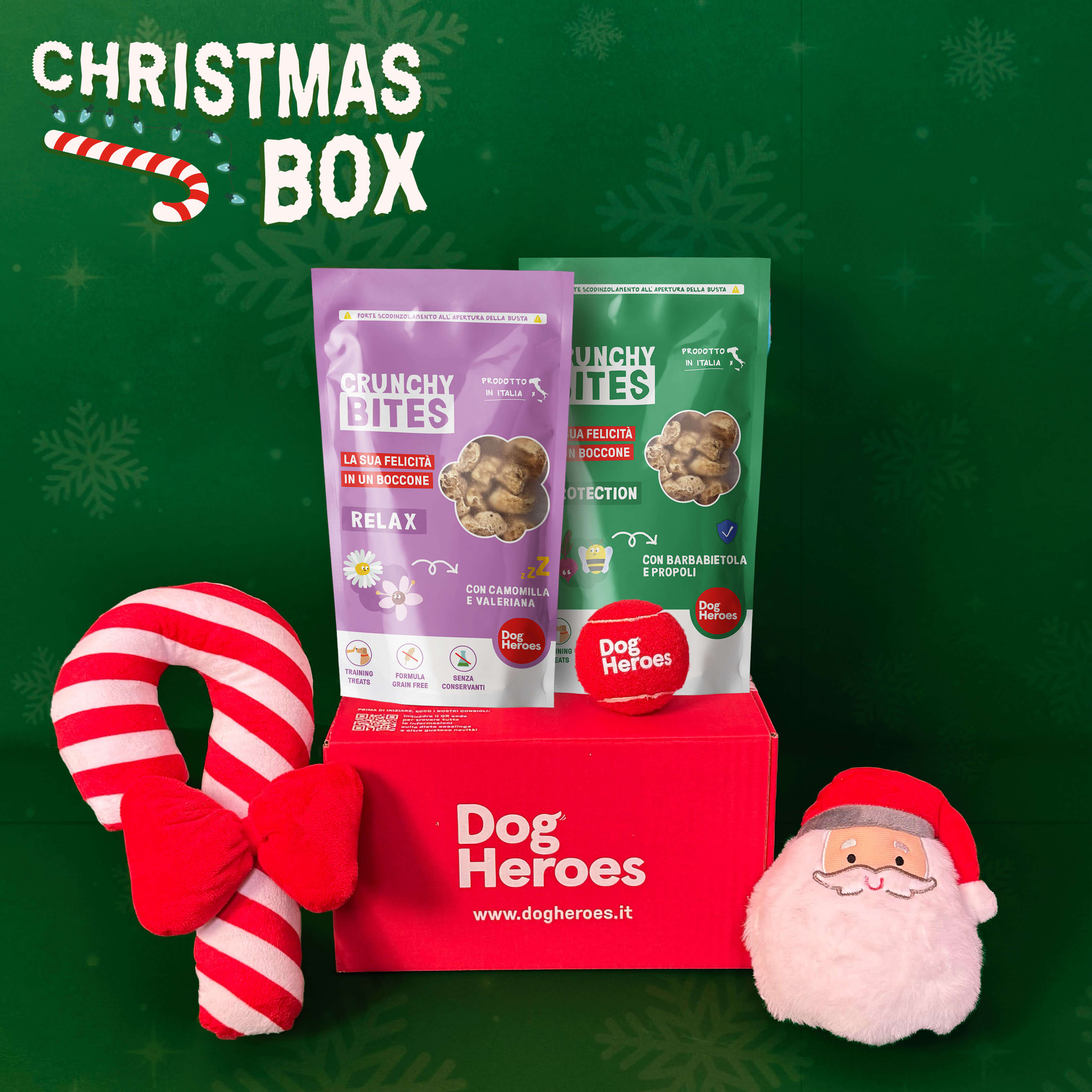 CHRISTMAS BOX | RENDI MAGICHE LE FESTE DEL TUO CANE